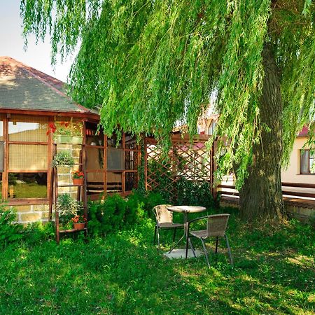 Hotel Zolota Pidkova Kozlin Bagian luar foto